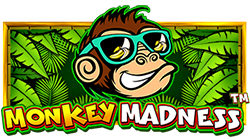 Monkey-Madness(900x550)