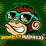 Monkey Madness Logo