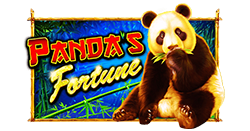 Pandas-Fortune(900x550)