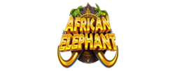 african-elephant-(900x550)