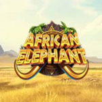 African Elephant Logo
