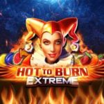 Hot to Burn Extreme Logo