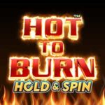 Hot to Burn Hold and Spin Logo