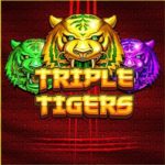 Triple Tigers Logo